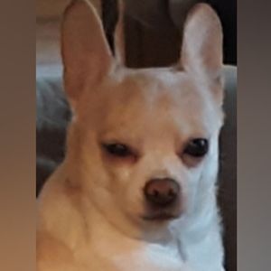 CLOSET CLEAN OUT SILENT AUCTION PLEASE PRESS LIKE TO BE NOTIFIED FOR NEXT SALE